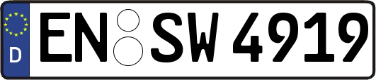 EN-SW4919