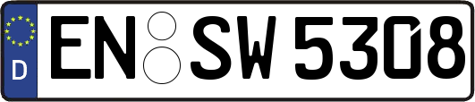 EN-SW5308