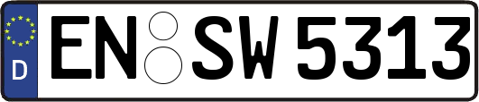 EN-SW5313