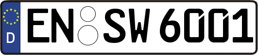 EN-SW6001
