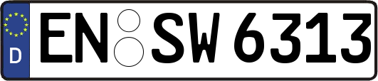 EN-SW6313