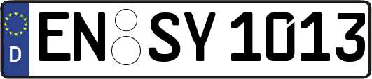 EN-SY1013