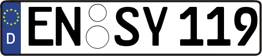 EN-SY119