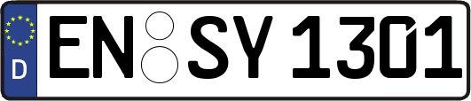 EN-SY1301