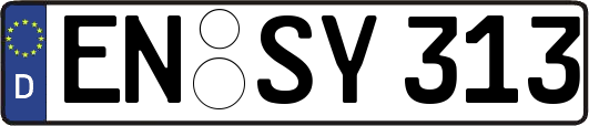EN-SY313