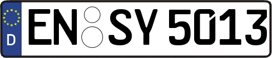 EN-SY5013