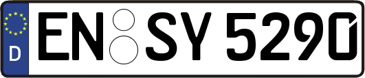 EN-SY5290
