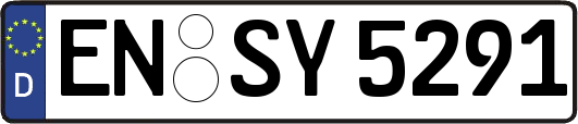 EN-SY5291
