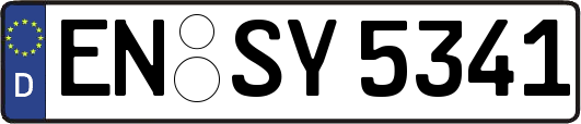 EN-SY5341