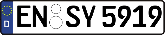 EN-SY5919