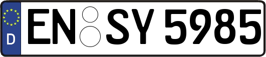 EN-SY5985