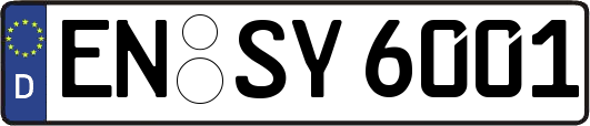 EN-SY6001