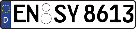 EN-SY8613