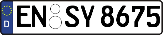 EN-SY8675