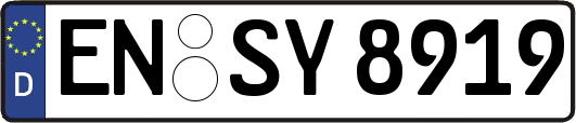 EN-SY8919