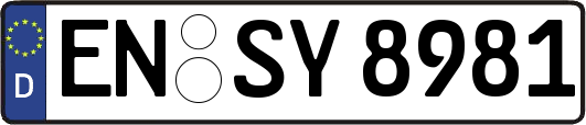 EN-SY8981