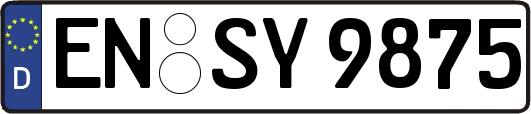 EN-SY9875