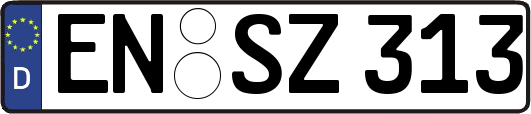 EN-SZ313