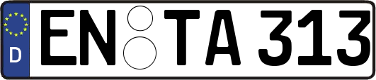 EN-TA313