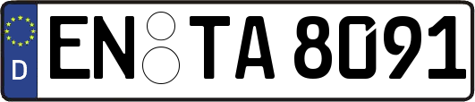 EN-TA8091