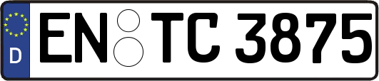 EN-TC3875