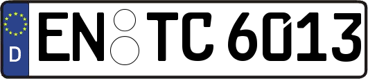 EN-TC6013