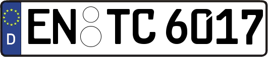 EN-TC6017