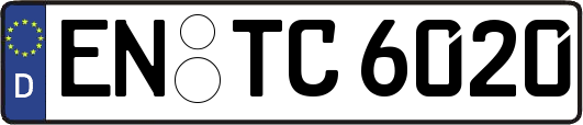 EN-TC6020