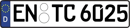 EN-TC6025
