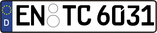 EN-TC6031