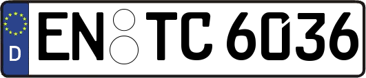 EN-TC6036