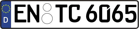 EN-TC6065