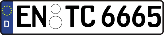 EN-TC6665