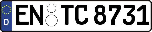 EN-TC8731
