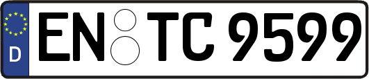 EN-TC9599