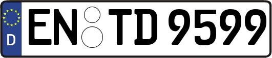 EN-TD9599