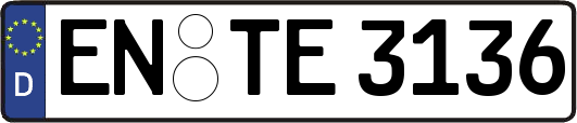 EN-TE3136