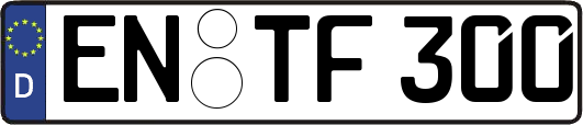 EN-TF300