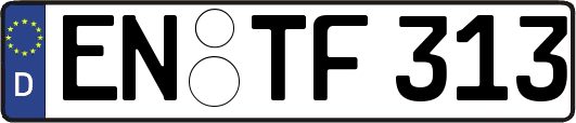 EN-TF313