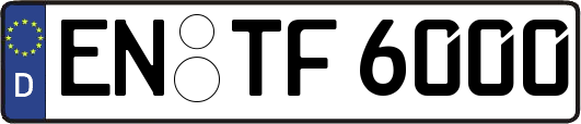 EN-TF6000