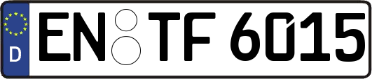 EN-TF6015