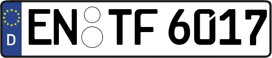 EN-TF6017