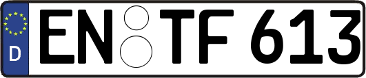 EN-TF613
