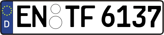 EN-TF6137