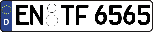 EN-TF6565