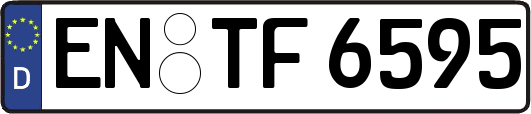 EN-TF6595