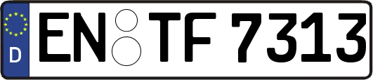 EN-TF7313