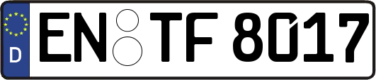 EN-TF8017