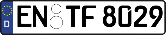 EN-TF8029