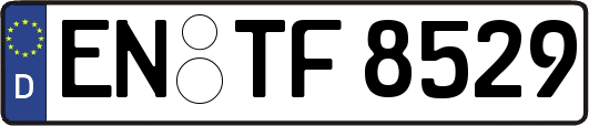 EN-TF8529